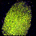 Latent Fingerprint